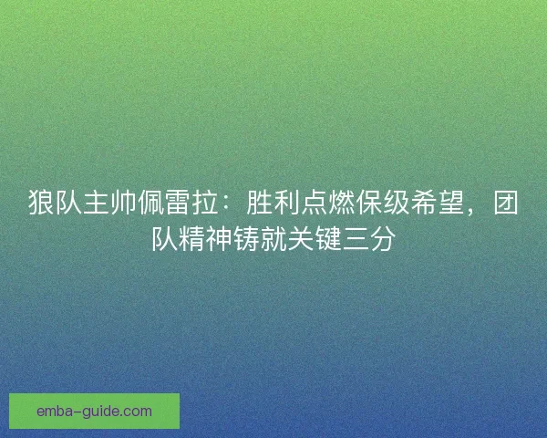 狼队主帅佩雷拉：胜利点燃保级希望，团队精神铸就关键三分