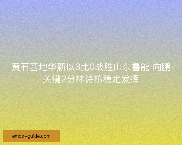 黄石基地华新以3比0战胜山东鲁能 向鹏关键2分林诗栋稳定发挥